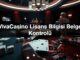 vivacasino lisans bilgisi belge kontrol 1789035962923